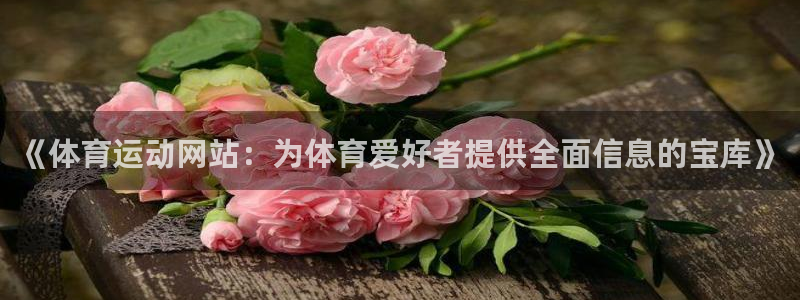 速8体育网：《体育运动网站：为体育爱好者提供全面信息的宝库》