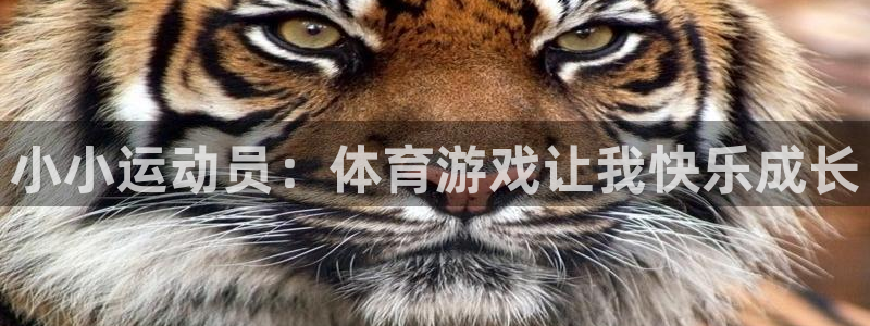 速8体育网：小小运动员：体育游戏让我快乐成长
