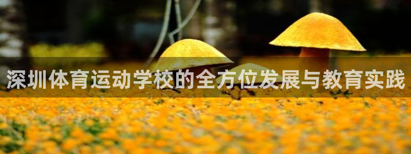 速8体育网：深圳体育运动学校的全方位发展与教育实践