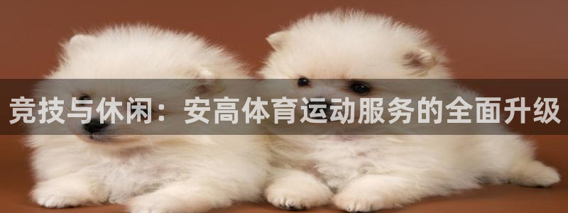 速8体育网：竞技与休闲：安高体育运动服务的全面升级