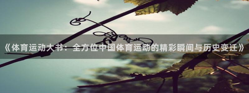 速8体育网：《体育运动大书：全方位中国体育运动的精彩瞬间与历史变迁》