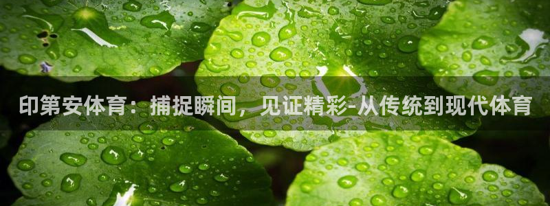 速8体育网：印第安体育：捕捉瞬间，见证精彩-从传统到现代体育