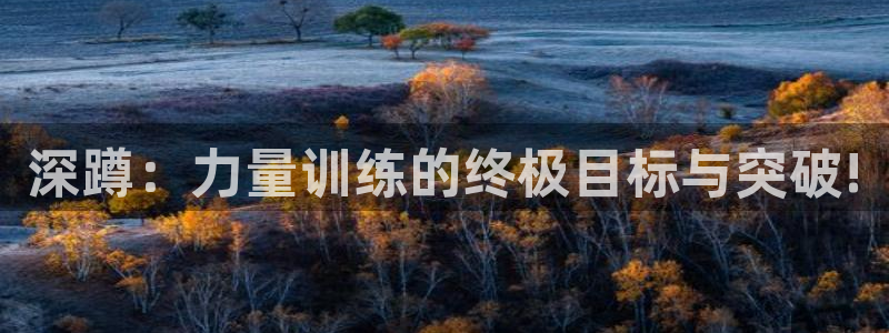 速8体育网：深蹲：力量训练的终极目标与突破!