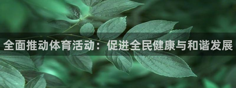 速8体育网：全面推动体育活动：促进全民健康与和谐发展