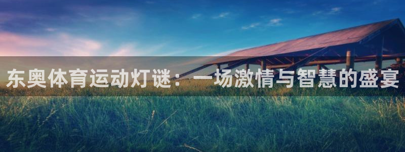 速8体育网：东奥体育运动灯谜：一场激情与智慧的盛宴