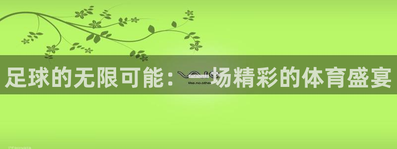 速8体育网：足球的无限可能：一场精彩的体育盛宴